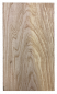 Preview: Body Swamp Ash, 1-pc., Unique Piece #197